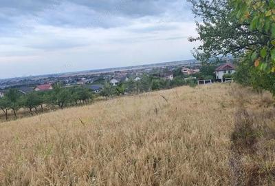 Teren de 10000 mp, în Păulești - 2