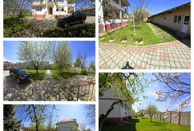 Vila 546 mp, teren 2000 mp si spatii de afacere, Magurele, Ilfov - 3