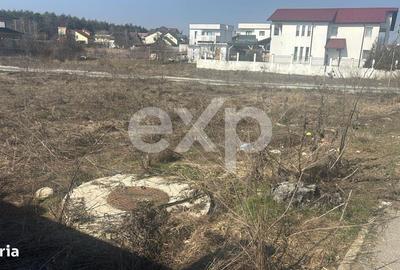 Spațiu comercial, în Trivale - 7