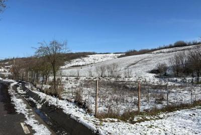 Teren în Ghercești - 4