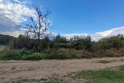 Resita, Teren Intravilan 2819 Mp., 16 Euro/Mp., Calea Carans - 4