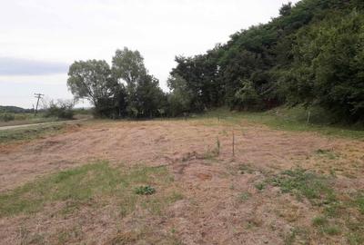 Spațiu comercial, în Uileacu Șimleului - 9