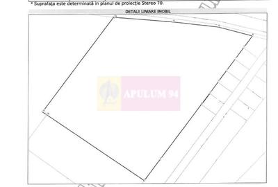 Vanzare teren intravilan agricol in zona Mihailesti, Giurgiu - 4