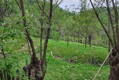 Teren de 5150 mp, în Șotrile - 2