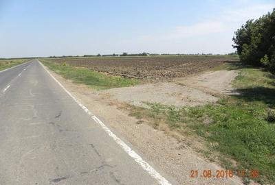 Teren de 5000 mp, în Cazasu - 1