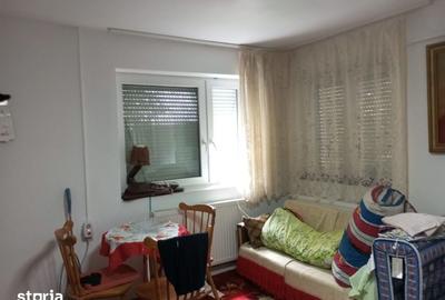 Casă cu 3 camere cu Teren 3320 Mp în Căpușu Mare - 13