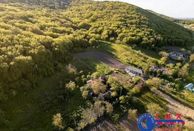 Teren de 2859 mp, în Visterna - 5