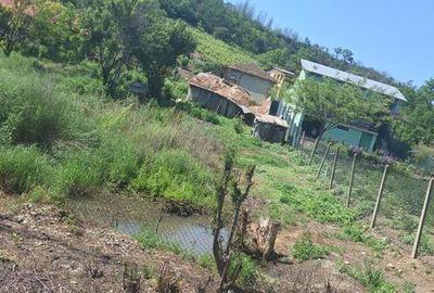 Casă cu 3 camere cu Teren 2000 Mp în Hotarele - 1