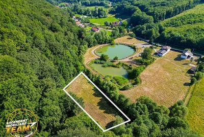 Teren Construcții extravilan de 2737 mp, în Dobârlău - 1