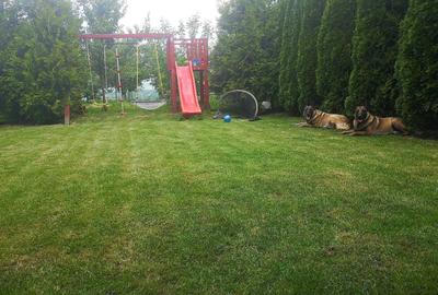 Casă cu 4 camere în Periș - 3