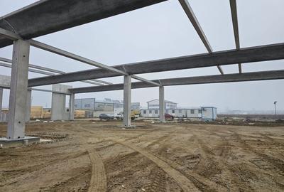 Vanzare hale/depozite/productie -industrial-Chitila - Rudeni, ILFOV - 18