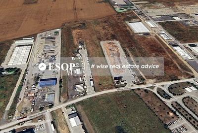 Vanzare Teren 10.000 mp - Rudeni, Chitila- ID 15475 - 3