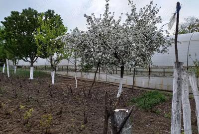 Casă cu 4 camere în Sărățeni - 6