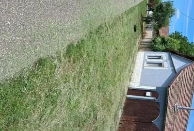 Casă cu 2 camere în Central - 9