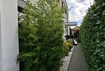 Casa mobilata si utilata cu teren de 432mp - 37