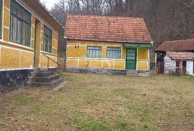 Casă cu Teren 6400 Mp în Petriș - 2