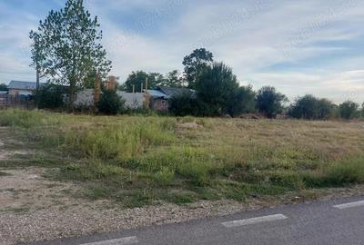 Inchiriere teren intravilan, zona Gura Sutii - Dambovita - 3