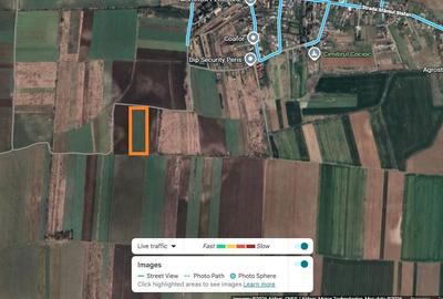 Teren agricol intravilan de 10000 mp, în Periș - 1