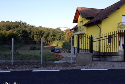 Casă cu 5 camere cu Teren 2800 Mp în Șintereag - 1