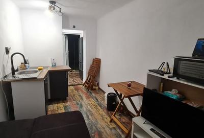 Garsoniera plus gradina langa UMF - 5