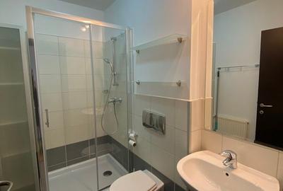 Apartament cu 3 camere decomandat, mobilat în Băneasa - 14