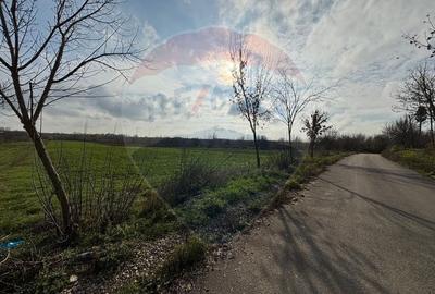 Teren 7094 mp Buftea pozitie excelenta vizavi de parc, acces asfaltat - 3