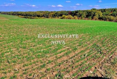 Teren 9Ha -> 16Ha Ha Intravilan , Exit A3 Snagov Ghermanesti Bucuresti-Ploiesti - 18