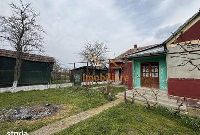 Casă cu 4 camere cu Teren 1654 Mp în Cefa - 6