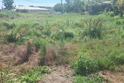 Casă cu 3 camere cu Teren 2000 Mp în Hotarele - 1