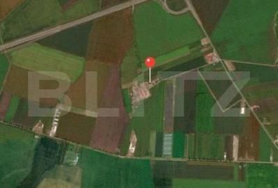 Teren intravilan, 41000 cu PUZ pentru hala, zona Alba-Sebes langa A1