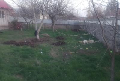 Casa cu gradina mare de inchiriat - 2