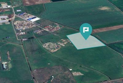 Teren de 29970 mp, în Săcălaz - 18