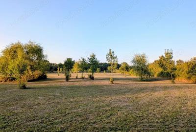 De vanzare: Teren 12.600 mp Ghiroda - Comision 0% - 1