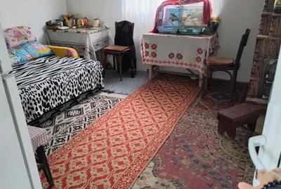 Casă individuală cu 4 camere cu Teren 3653 Mp în Vadu Părului - 2