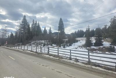 Teren de 15000 mp, în Șaru Dornei - 4