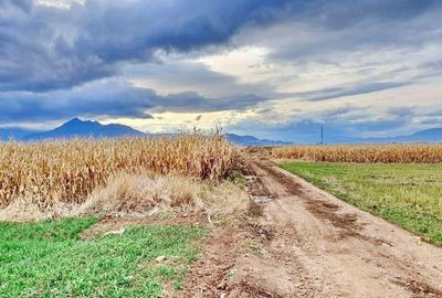 Teren extravilan Tarlungeni - 6