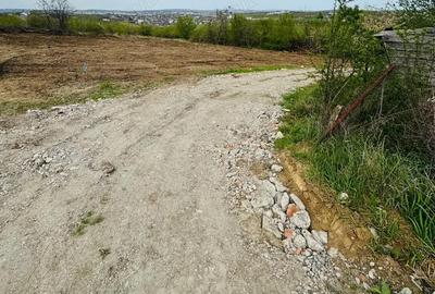 Teren de 100 mp, în Vișan - 4