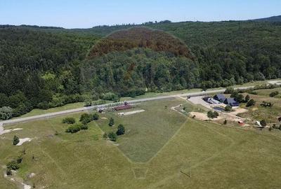 Teren 5,561mp Paltinoasa / Strada principala - 3