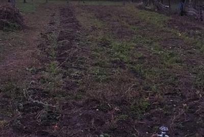 Casă individuală cu 4 camere cu Teren 1300 Mp în Cuciulata - 9