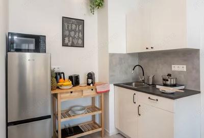 Garsonieră în Calea Victoriei - 4