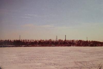 Teren Vânzare Mogosoaia, 1000 mp, Deschidere directă la lac 65 metri,245 Euro/mp - 2