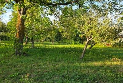 Teren intravilan de 2500 mp, în Breaza de Jos - 12