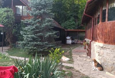 De vanzare proprietate (fosta pensiune) pe malul raului Teleajen - 9