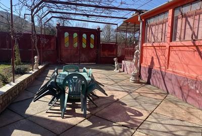 Casă cu 3 camere cu Teren 1100 Mp în Sarmizegetusa - 1