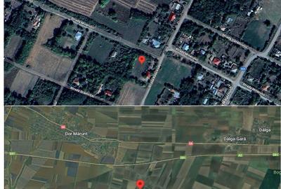 Casă cu 1 camere cu Teren 1977 Mp în Dor Mărunt - 1