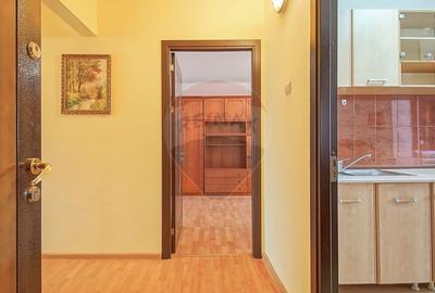 Apartament cu 3 camere decomandat, mobilat în Calea București - 23