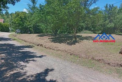 Teren intravilan,  2,5 ha, zona de deal in Seini - 5