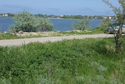 Spațiu comercial, în Sud - 4