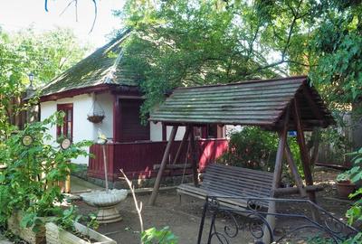 VILA 6 CAMERE SNAGOV IZVORANI LAC -TEREN 1800mp - 20