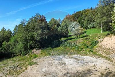 Teren 5,174mp Bran / Strada Colibasilor la 800 m de centrul Branului - 10